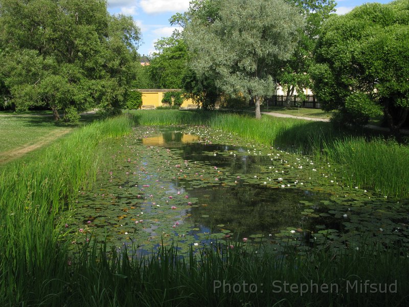 Bennas2010-3548.jpg - Ponds with colouful water lilies at Uppsala botanic garden